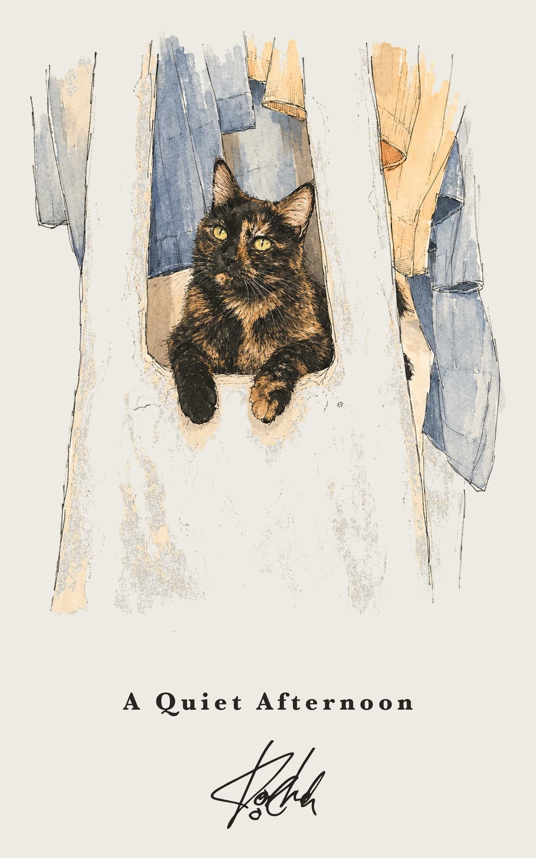 The cat named Koocheh